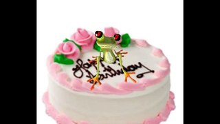 Happy Birthday to You - Tango the Tree Frog 2