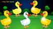 Five Little Ducks Finger Family Nursery Rhyme - Kids Animation Rhymes Songs Finger Family Song[1]