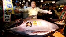 Giappone: 600.000 euro per un tonno pinna blu del Pacifico, specie vulnerabile