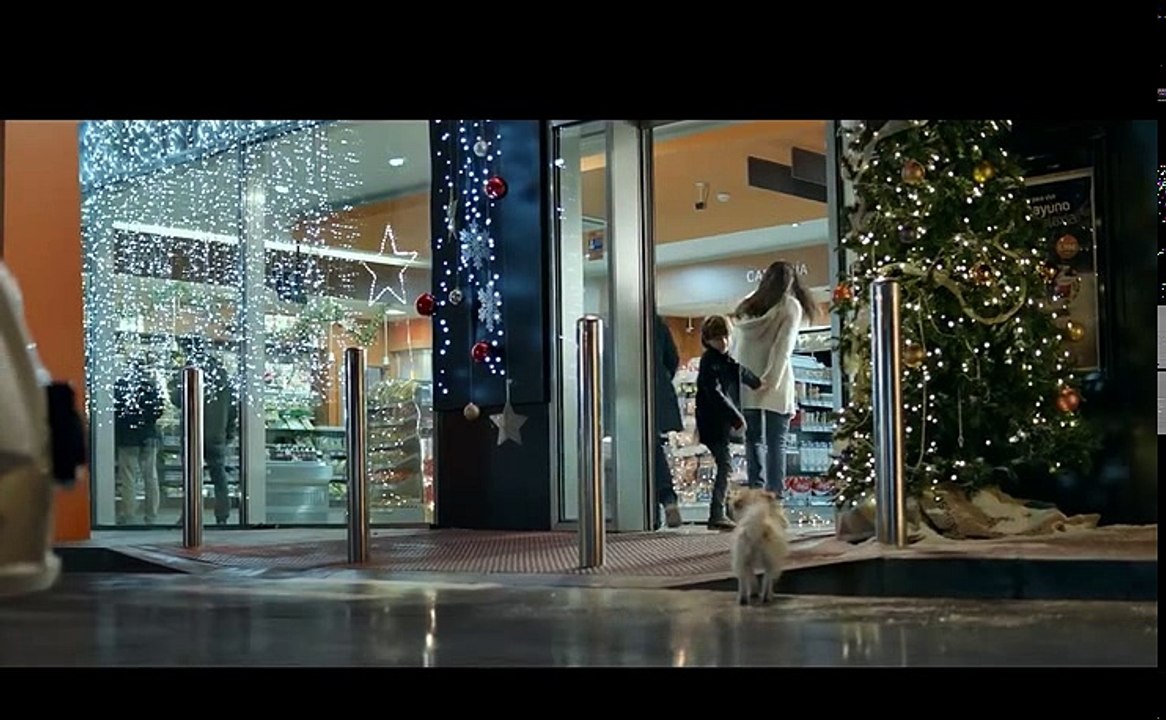 Magie de Noël entre un chien abandooné et un petit garçon...