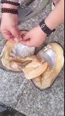 He opens a clam and makes an incredible discovery. You never imagine what lies!