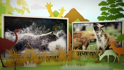 동물의 세계 20170105