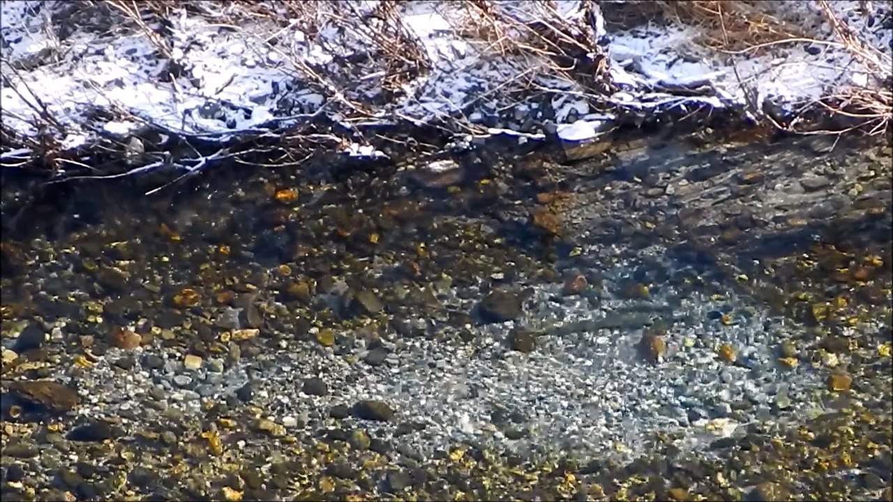 5 janvier 2017....Chéran