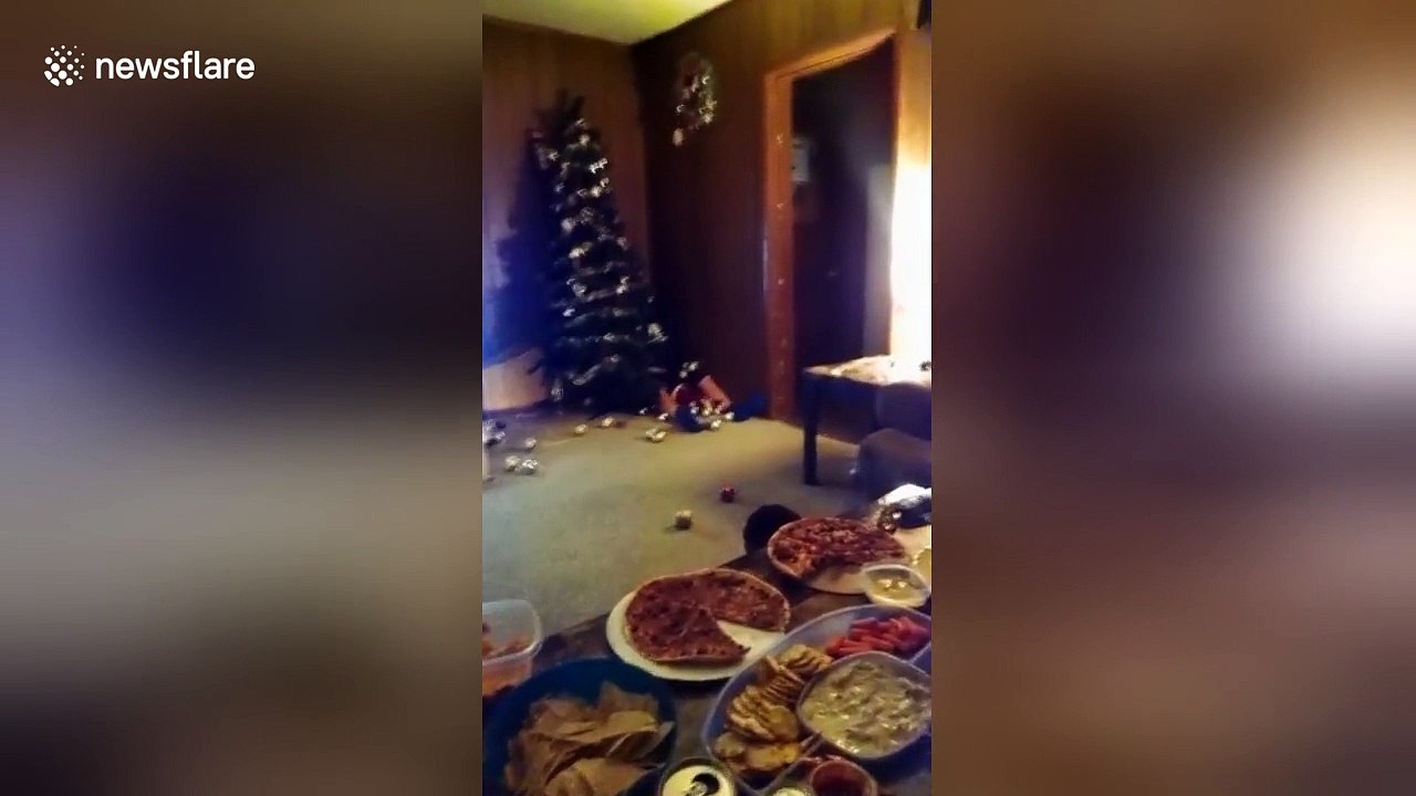 Disappointed American football fan tackles Christmas tree