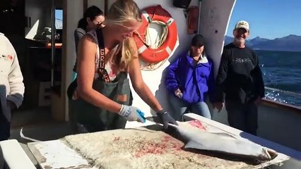 Download Video: Découper un filet de poisson avec cette méthode