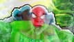 Marvel Avengers Super Hero Mashers Spider Hulk Vs Loki Beast