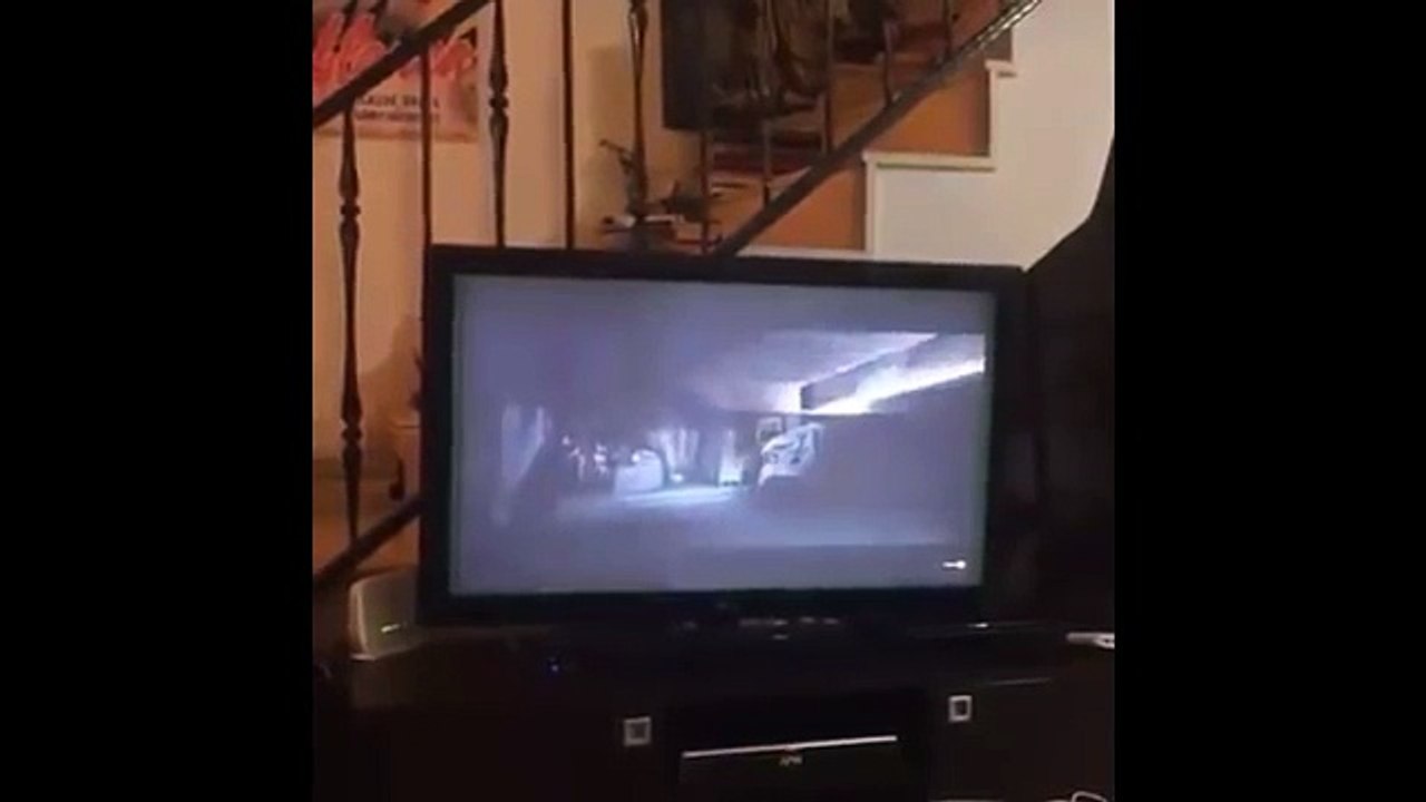 Korku Filmi İzleyen Küçük Köpeğin Sevimli Tepkisi