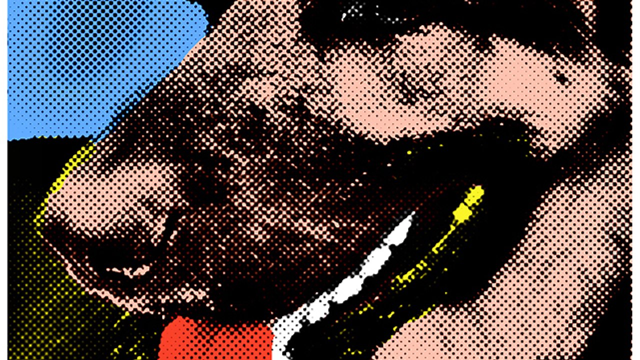 German Shepherd scared of slippery floor, walks backwards on it