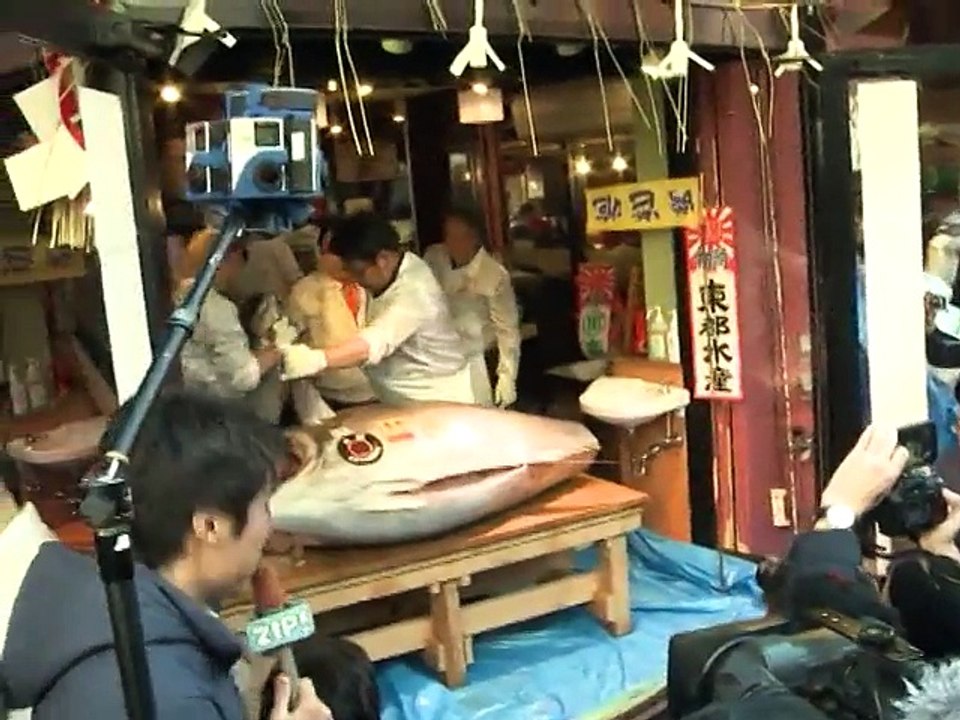 Thon rouge vendu 605.000 euros au Japon