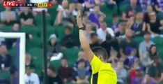 Perth Glory vs Wellington Phoenix 2-1 All Goals Highlights  A-League  0512-2017