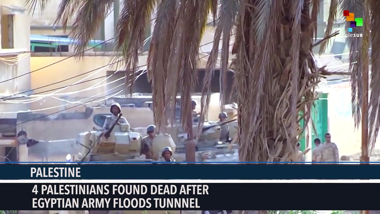 Palestine: Egypt Destroys 12 Cross-Border Tunnels