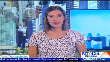 Sacrificarán pavos de criadero donde fue detectado brote de gripe aviar en Valparaíso, Chile