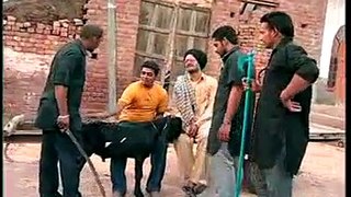 Whatsapp Funny Video   Bakra For Sale  Very Funny Video 2015