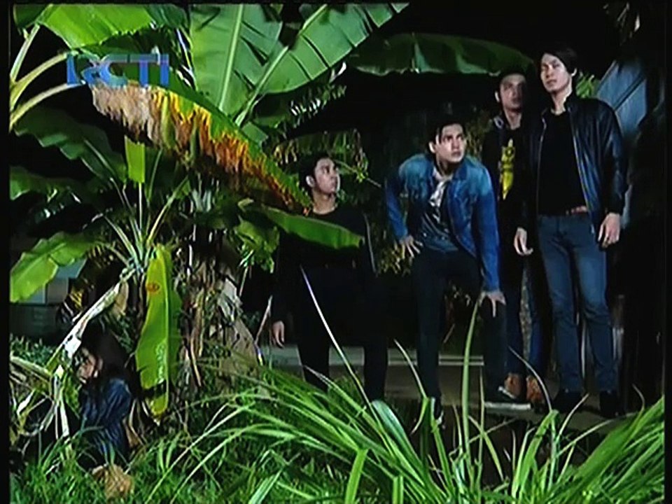 Scene Raya AJ784785