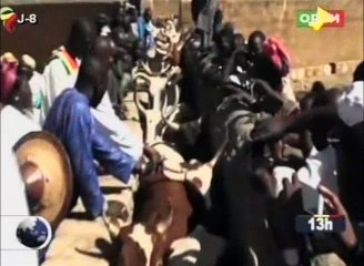 Lancement régional de la campagne de vaccination 2016-2017 du cheptel à Mopti