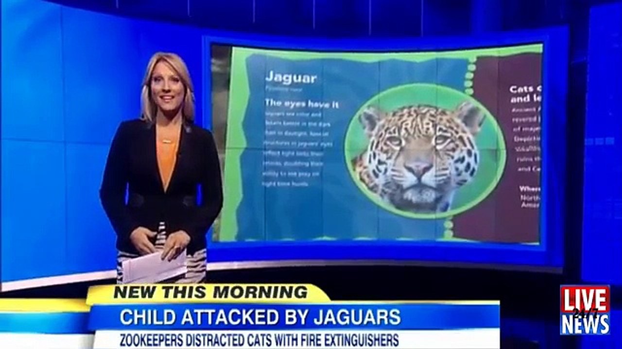 3 year old Boy Falls Into Jaguar Exhibit At at the Little Rock Zoo In Arkansas NEWS 2014