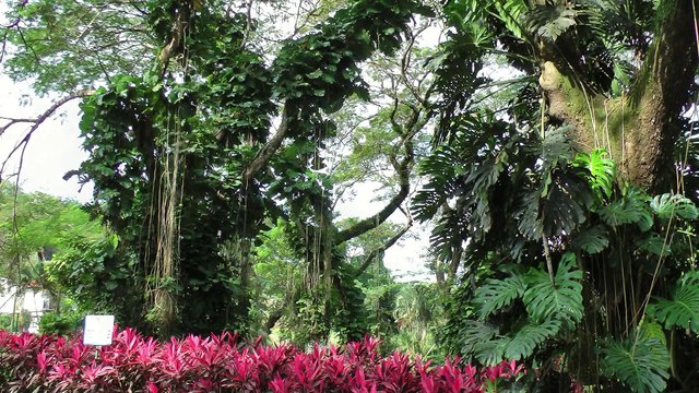 Pacific side of Costa Rica -( Rodzinka na urlopie )