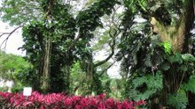 Pacific side of Costa Rica -----( Rodzinka na urlopie )