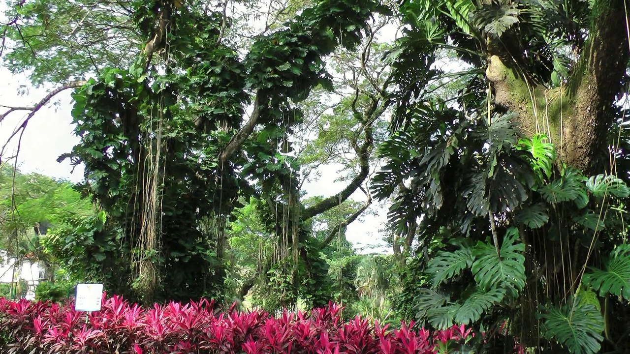 Pacific side of Costa Rica -----( Rodzinka na urlopie )