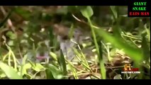 A BIG Anaconda ATTACKS Man ZookeeperAlive Story of Giant Snake Eats Man FULL DOCUMENTARY 2016