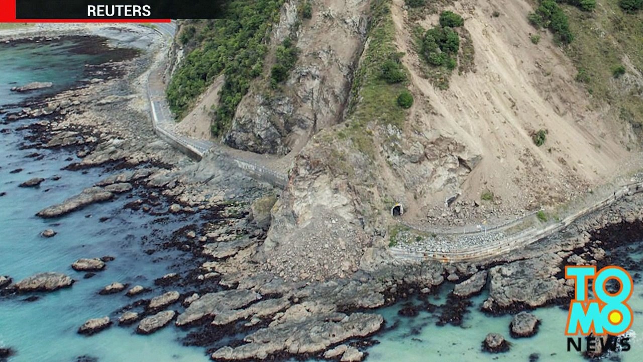 Terremoto na Nova Zelândia deixa vacas presas em ilha minúscula.