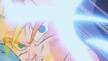 Goku and Vegeta fight