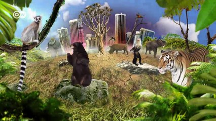 Descifrando la muerte masiva de antílopes en Kazajistán | Global 3000