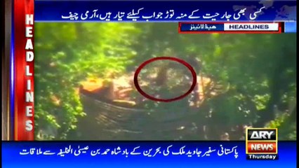 Headlines 2200 5th January 2017