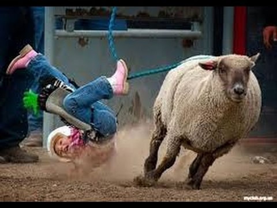 SI TE RIES PIERDES NIVEL IMPOSIBLE #6 2017 XDXDXD