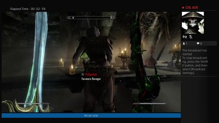 Im skyrim most bad ass warrior (37)