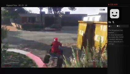 Crazy grandma's in los santos (3)