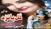 Pashto New Songs 2017 Gul Panra New Album Khoob Song 2017 - Bya Baran Dy
