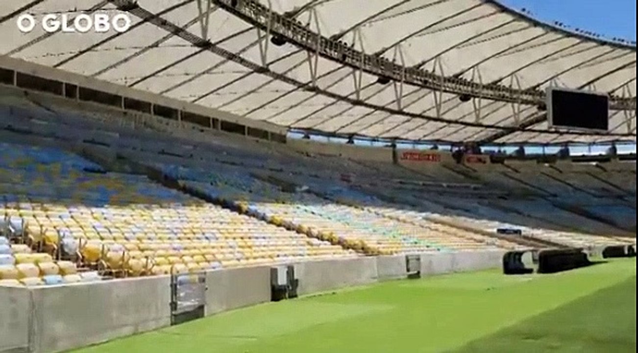 O Maracanã está entregue aos gatos