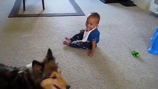 Dog Makes Baby Laughing (Best Funny Videos - Fun)[1]
