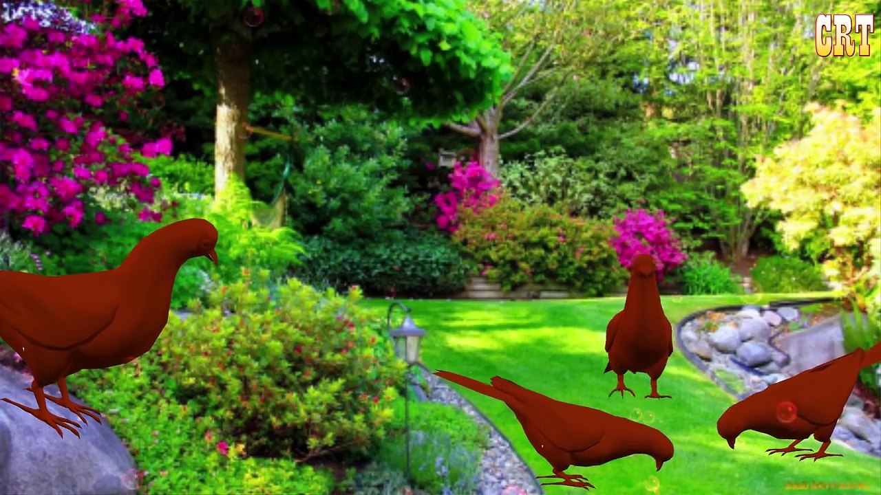 #Sheep Colourful Colour Song || #Learning Nursery Collection For #Children Rhymes Compilation