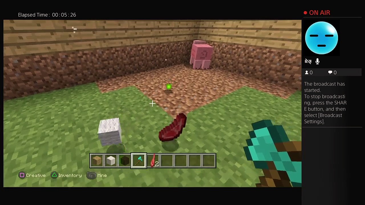 Gaming  minecraft and lbp (21)