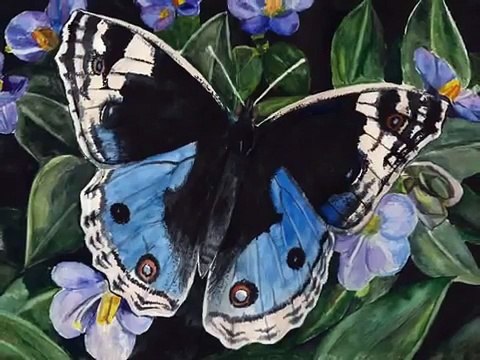 Этот мир придуман не нами