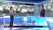 Grippe aviaire : quelles sont les exploitations avicoles concernées ?