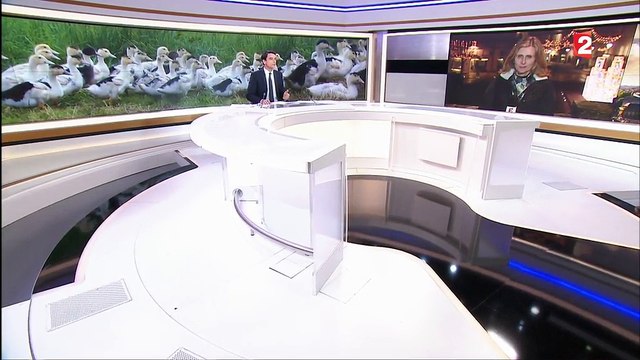 Grippe aviaire : une épidémie difficilement maîtrisable