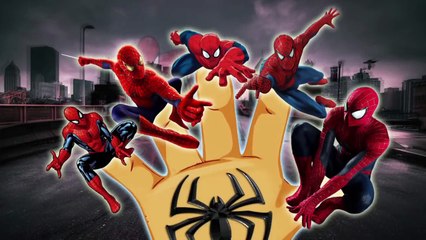 SPIDERMAN Finger Family Song Father Finger Nursery Rhymes and Songs for Kids Cookie Tv Video