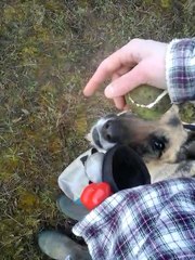 Nouka, 10ans et demi, aux tricks balle