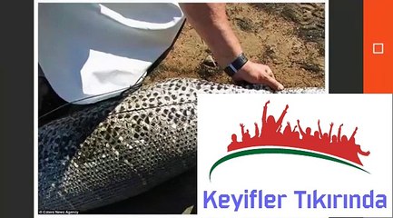 ÖKLÜ THE PYTHON THAT SWALLOWED THE HEDGEHOG'S SAD END 40.PAY ATTENTION TO SECONDS