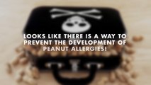 How parents can prevent the development of a peanut allergy