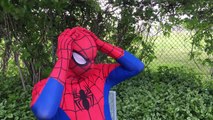 Spiderman Gets Hair! vs Joker Prank Frozen Elsa Dream Funny Superhero Kids In Real Life In 4K