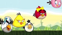 Angry Birds Nursery Finger Family Rhymes For Children | Daddy Finger Family For Babies