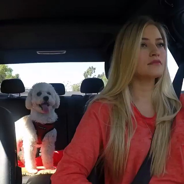 twerk twerk