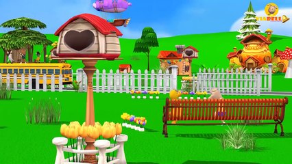 Little Baby Pig Colors for Kids   Kids Learning Color Songs W Gorilla Cartoons Finger Family Songs