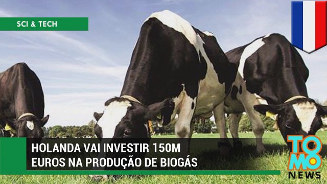 Holanda vai investir 150 milhões de euros na produção de biogás.