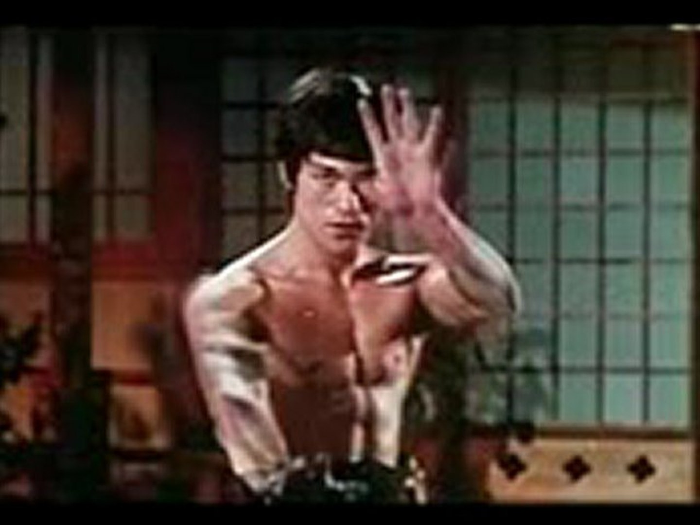 ドラゴン怒りの鉄拳 動画 Dailymotion