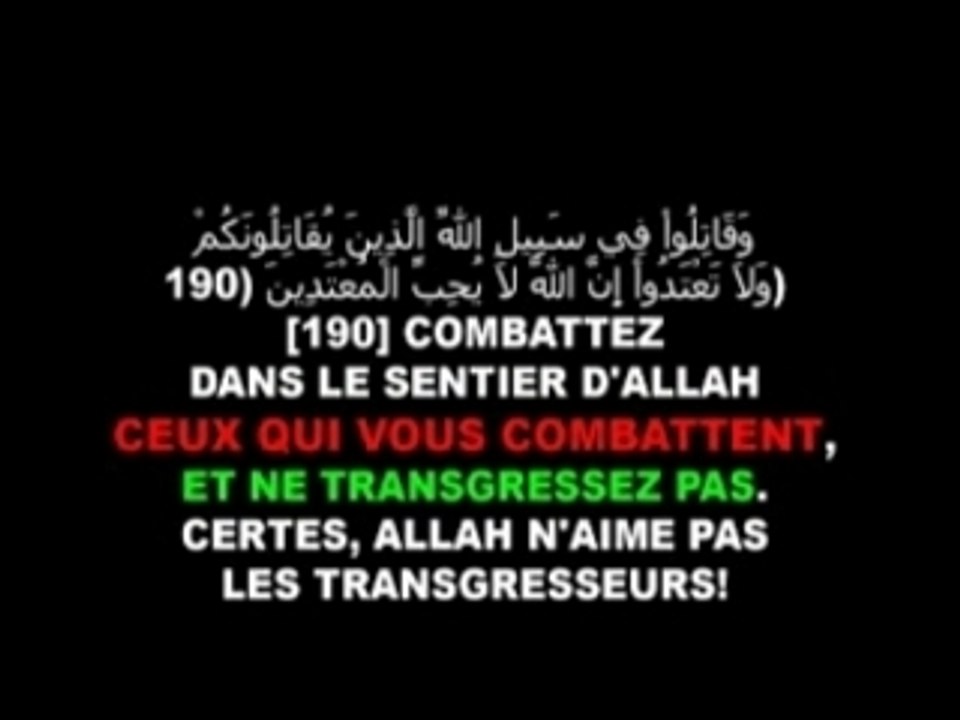 Vrai islam (réponse contre wafa sultan)